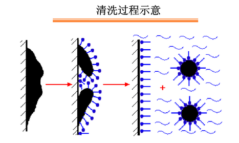 油脂乳化图.png